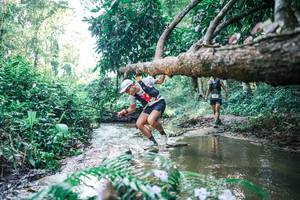 BIB: 
                            <button type="button" onclick="openModal(25442102)" class="btn btn-primary btn-sm float-right btn-popup" data-toggle="modal" data-target=".modal-high-quality">
                        <i class="fas fa-shopping-cart"></i> Add to Cart
                    </button>
                                            <button type="button" onclick="isThisMe(25442102, true)" class="btn btn-success btn-sm float-right btn-popup btn-isme hidden" data-toggle="tooltip" data-placement="bottom" title="นี่คือรูปของคุณใช่ไหม คลิกที่นี่เพื่อเอาเข้าอัลบั้ม">
                        <i class="fas fa-plus"></i> Add to album
                    </button>
                    <button type="button" onclick="isThisMe(25442102, false)" class="btn btn-warning btn-sm float-right btn-popup btn-isnotme hidden">
                        <i class="fas fa-ban"></i> Remove from album
                    </button>